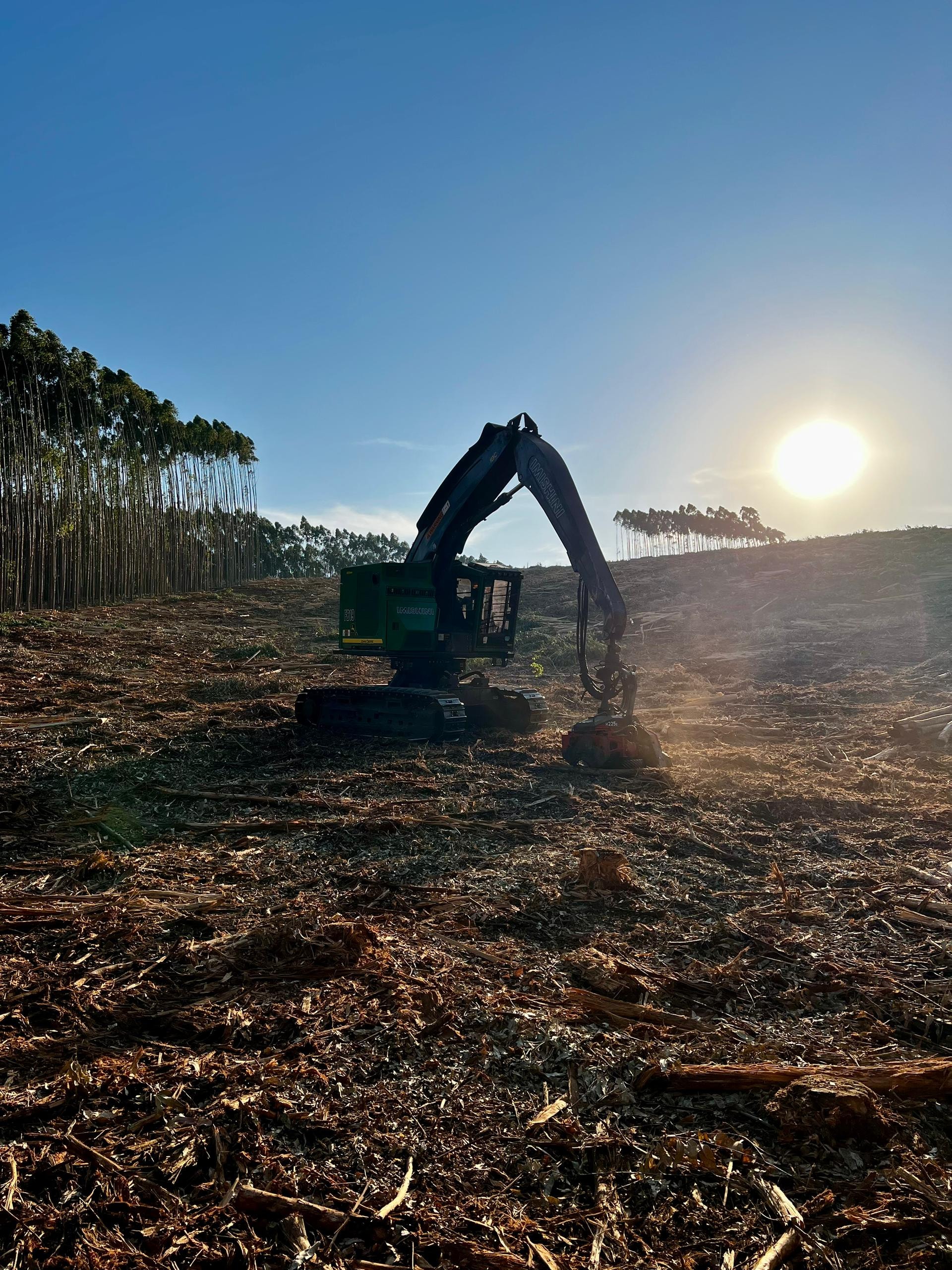 Forestry media 1