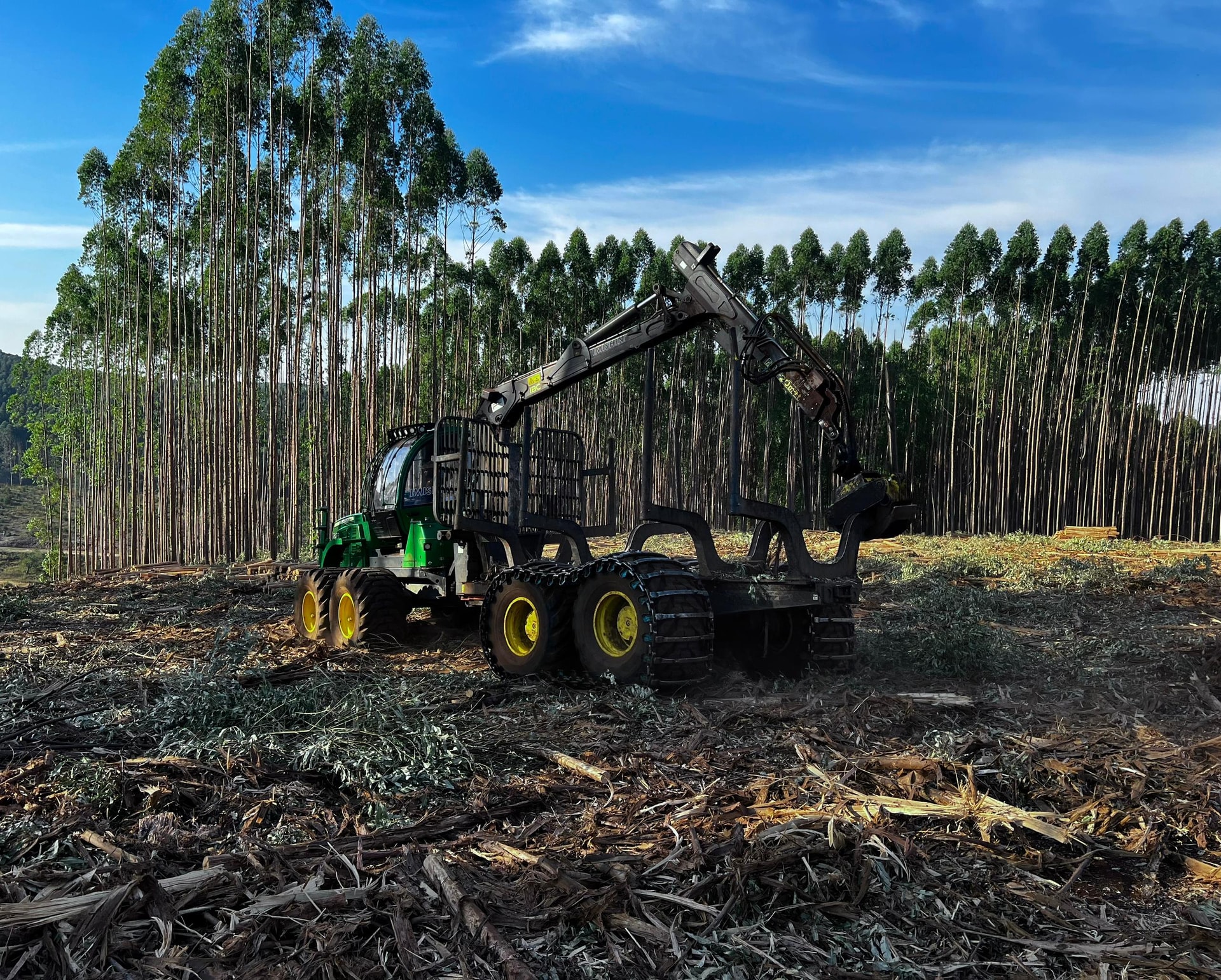 Forestry media 3