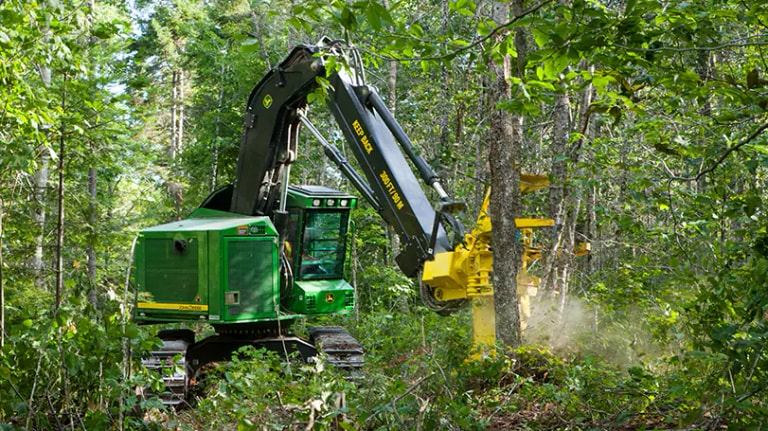 Forestry media 6